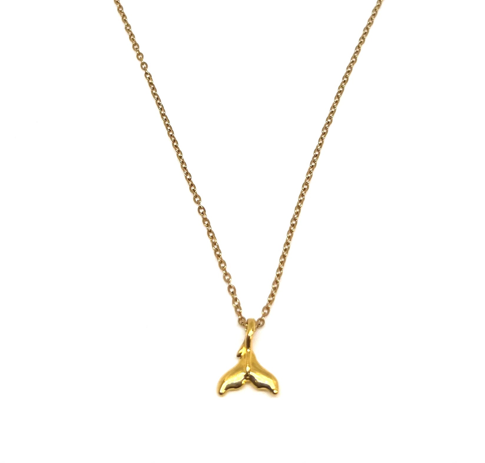 Κολιέ Chain Tail - tasinolakia.com