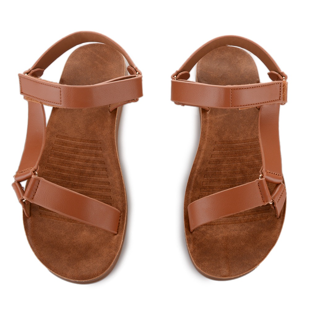ZX36 CAMEL